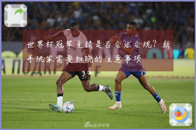 世界杯冠军竞猜是否合法合规？新手玩家需要知晓的注意事项