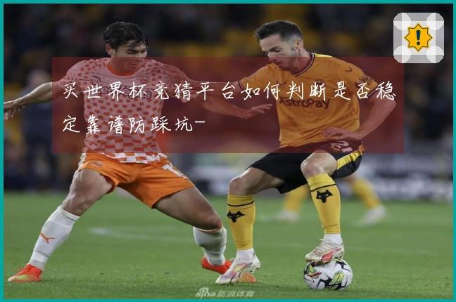 买世界杯竞猜平台如何判断是否稳定靠谱防踩坑-
