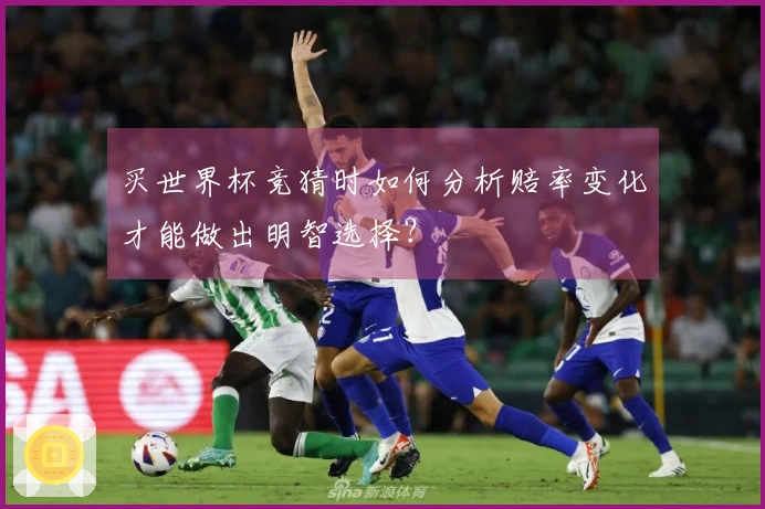 买世界杯竞猜时如何分析赔率变化才能做出明智选择？