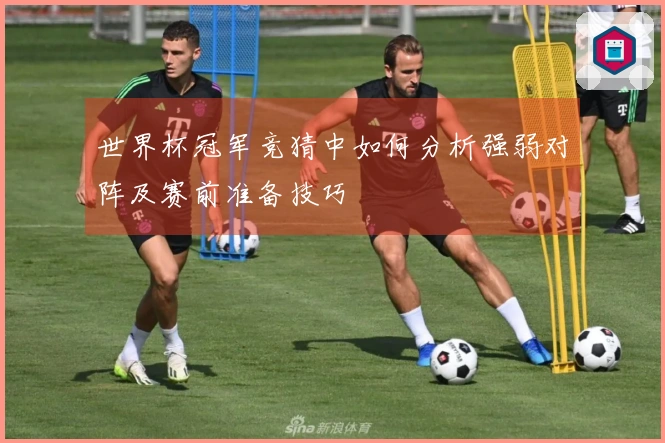 世界杯冠军竞猜中如何分析强弱对阵及赛前准备技巧