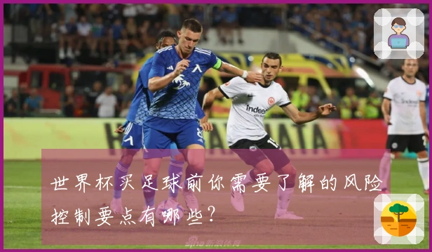 世界杯买足球前你需要了解的风险控制要点有哪些？