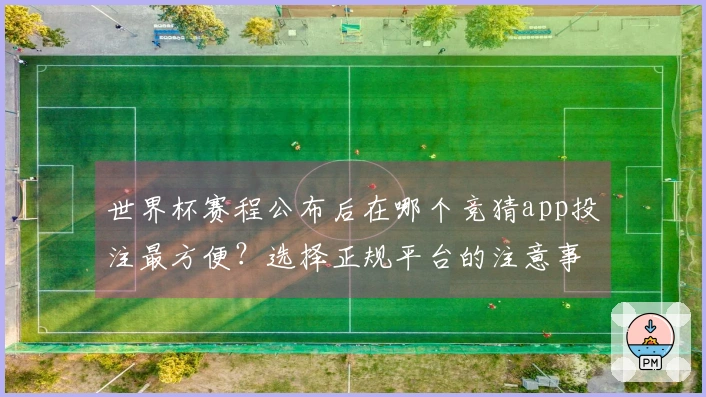 世界杯赛程公布后在哪个竞猜app投注最方便？选择正规平台的注意事项