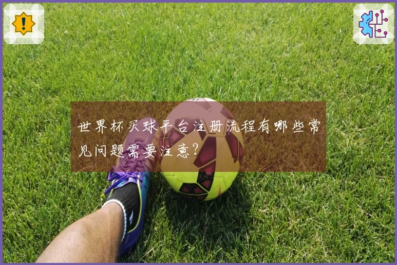 世界杯买球平台注册流程有哪些常见问题需要注意？