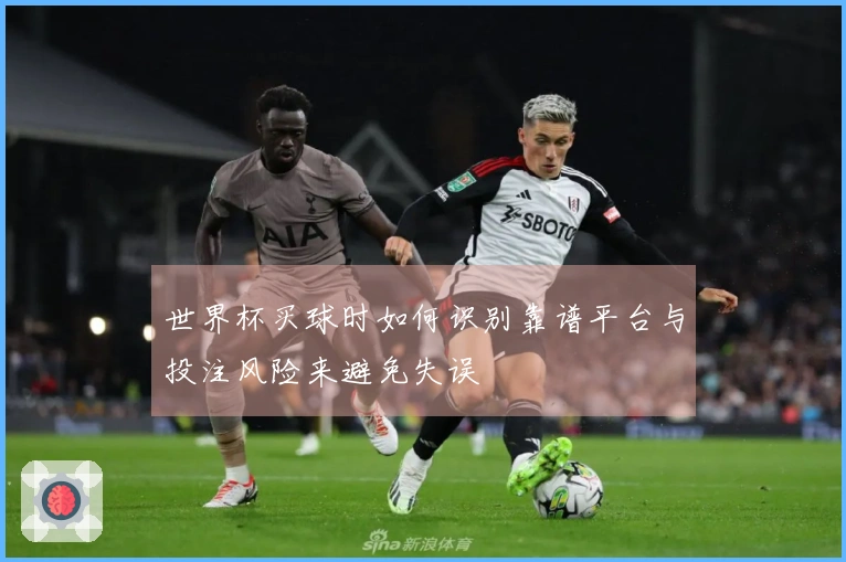 世界杯买球时如何识别靠谱平台与投注风险来避免失误