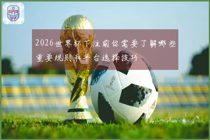 2026世界杯下注前你需要了解哪些重要规则和平台选择技巧