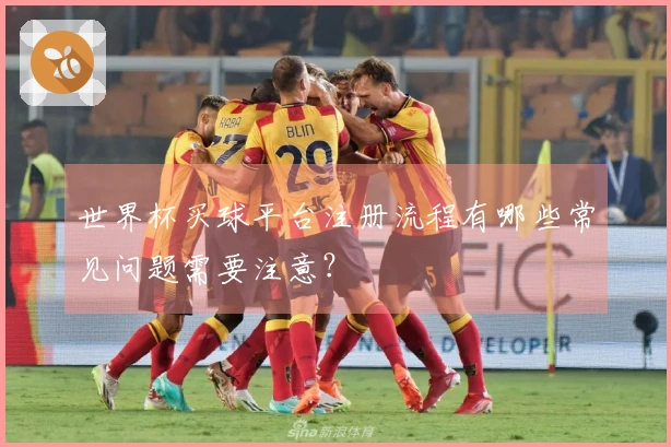 世界杯买球平台注册流程有哪些常见问题需要注意？
