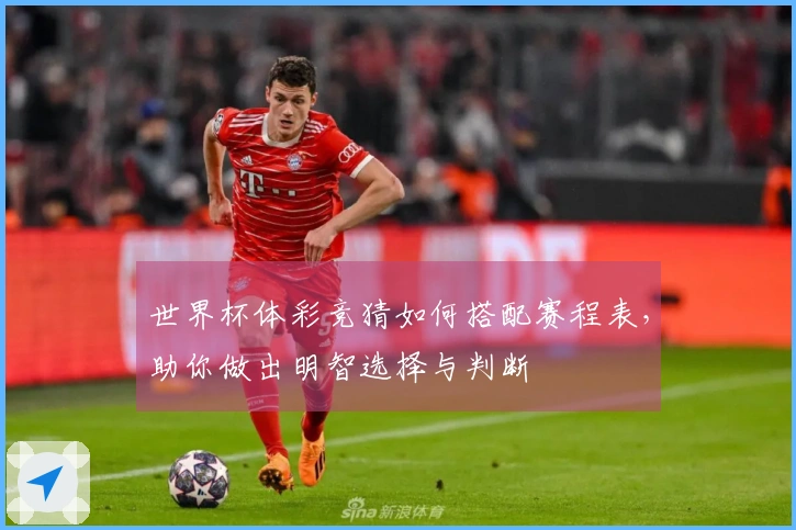 世界杯体彩竞猜如何搭配赛程表，助你做出明智选择与判断